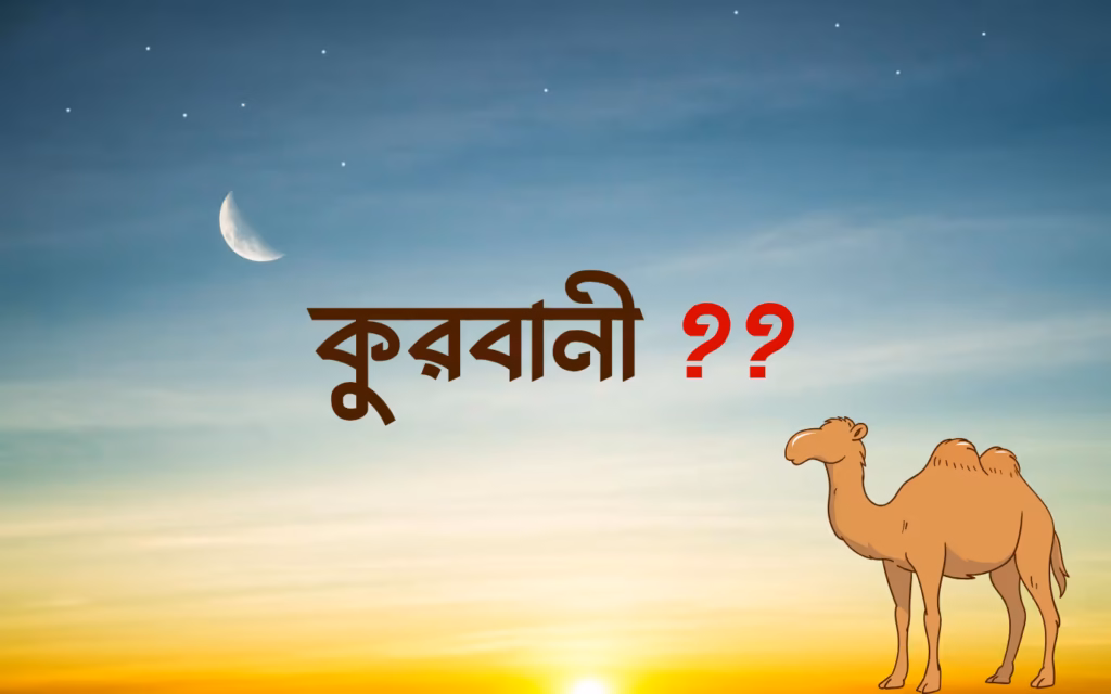 কুরবানি কি, কেন ও কীভাবে করবেন? পশুর বয়স, মাংস বণ্টন ও যবেহ করার সঠিক নিয়ম